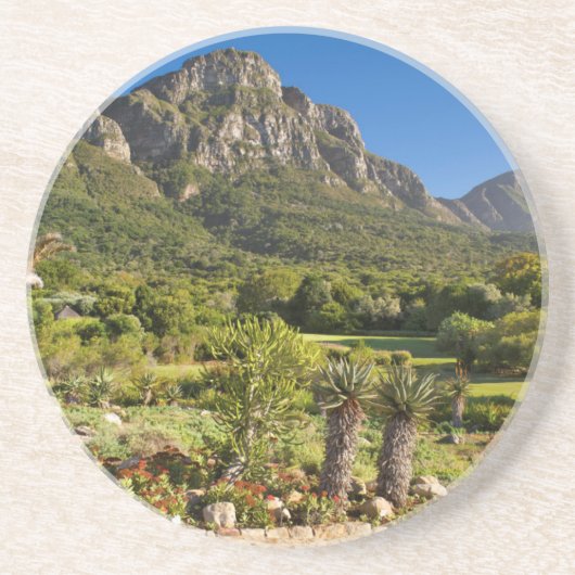 Kirstenbosch Botanischer Garten, Kapstadt Sandstein Untersetzer (Vorne)