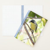 Kirtland’s Warbler spiral bound bullet journal Notizblock (Innen)