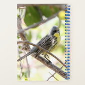 Kirtland’s Warbler spiral bound bullet journal Notizblock (Rückseite)