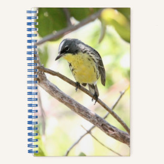 Kirtland’s Warbler spiral bound bullet journal Notizblock