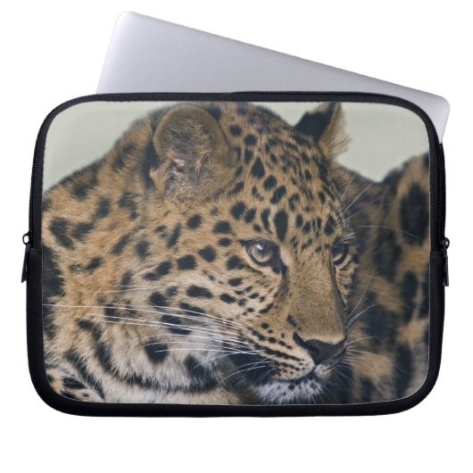 Kiska Laptop Sleeve (Vorderseite)