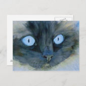 Kismet, die Ragdoll Katze Postkarte (Vorne/Hinten)