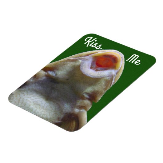 Kiss Me Fish Magnet (Linke Seite)