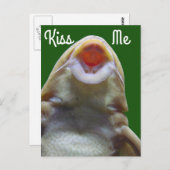 Kiss Me Fish Postkarte (Vorne/Hinten)