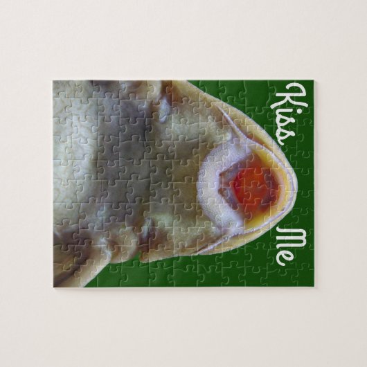 Kiss Me Fish Puzzle (Horizontal)