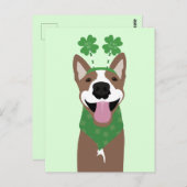 Kiss Me Ich bin irischer brauner Hund grün Postkarte (Vorne/Hinten)