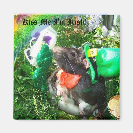 Kiss Me Ich bin irischer Magnet (Vorne)