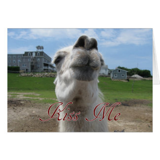 Kiss Me Llama Nah-up