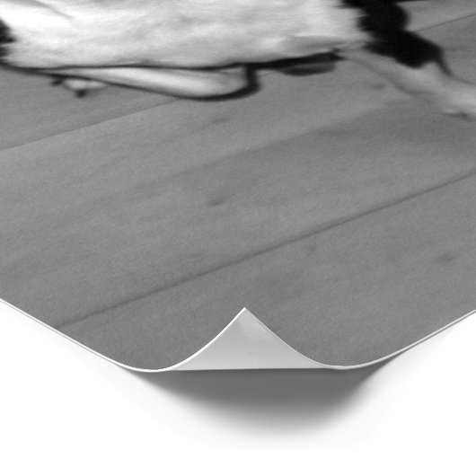 KISS ME POSTER (Ecke)