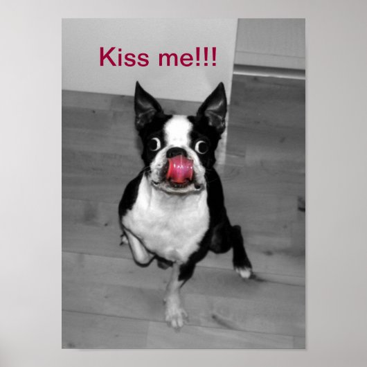 KISS ME POSTER (Vorne)