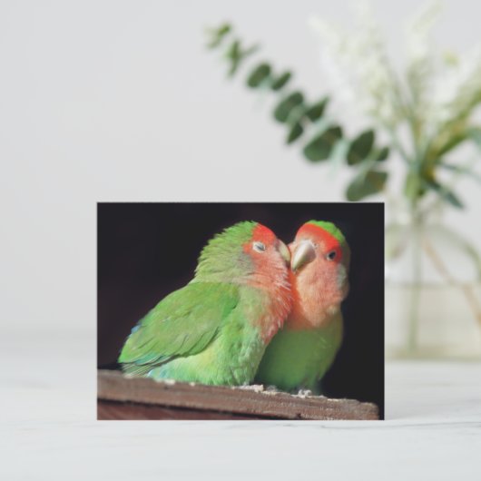 Kiss Me Postkarte (Stehend Vorderseite)