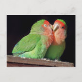 Kiss Me Postkarte (Vorderseite)