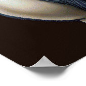 kiss my donkey poster (Ecke)