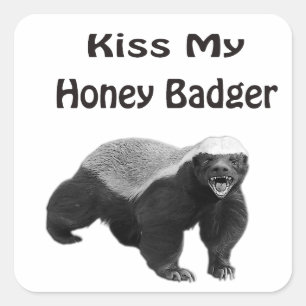 Kiss My Honey Badger Quadratischer Aufkleber