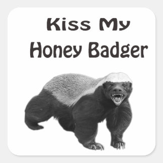 Kiss My Honey Badger Quadratischer Aufkleber