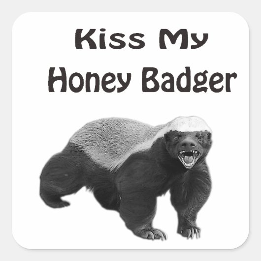 Kiss My Honey Badger Quadratischer Aufkleber (Vorderseite)