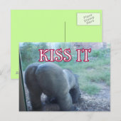 Kiss Postcard Postkarte (Vorne/Hinten)