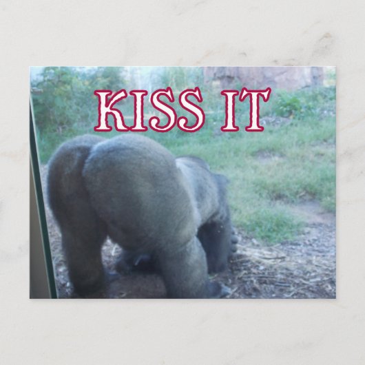 Kiss Postcard Postkarte (Vorderseite)