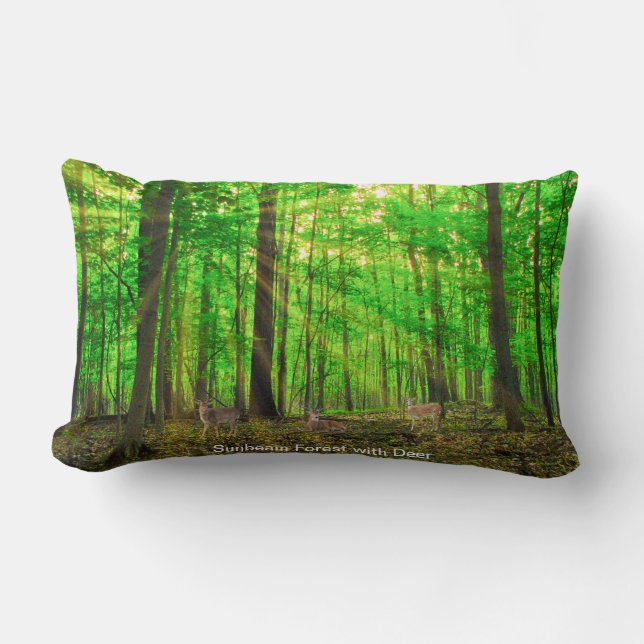 Kissen (Vorderseite)