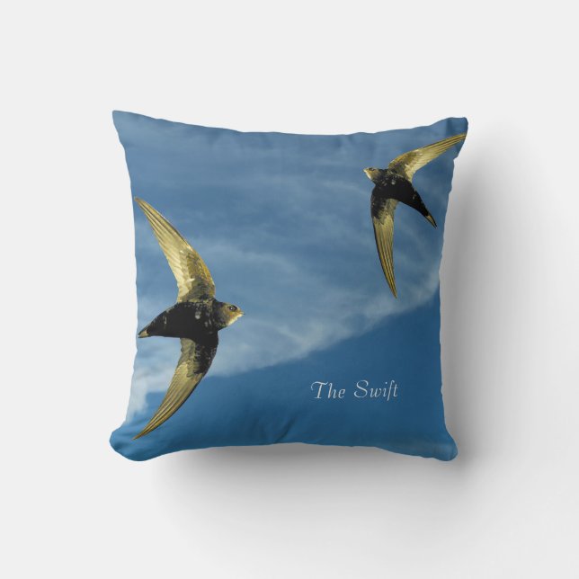 Kissen (Vorderseite)