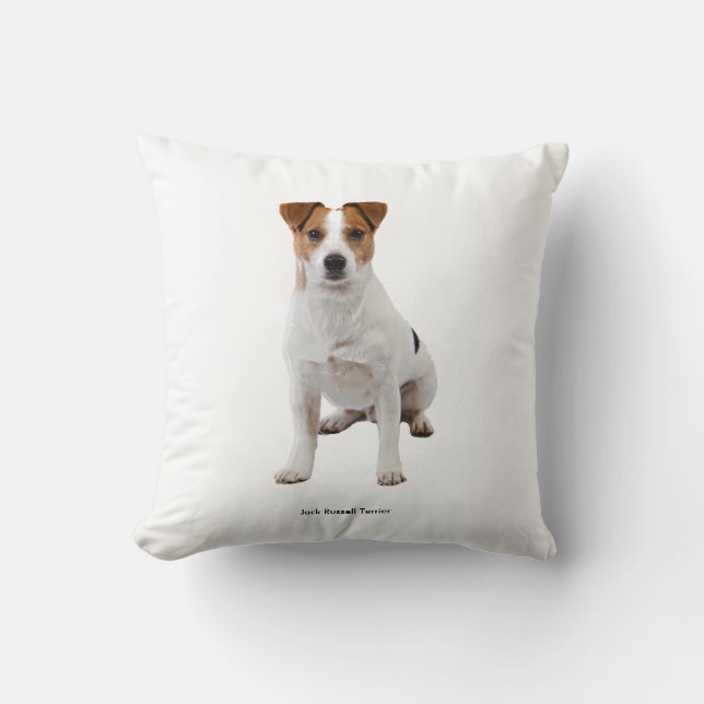 Kissen (Vorderseite)