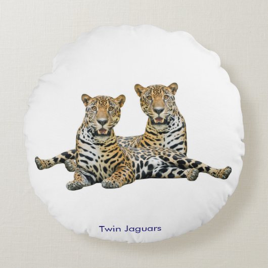 Kissen (Vorderseite)