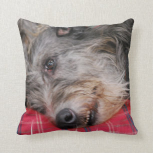 Kissen - besonders angefertigt