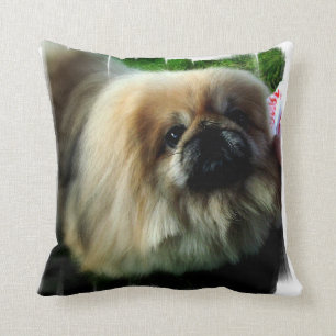 Kissen - besonders angefertigt