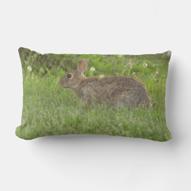 Kissen: Das Leben ist sanft Lendenkissen (Vorderseite)