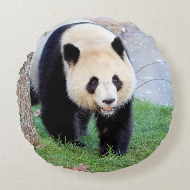 Kissen Foto Riesenpanda. (Vorderseite)