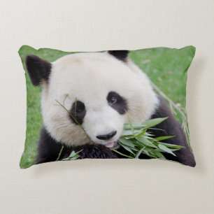 Kissen Foto Riesenpanda.