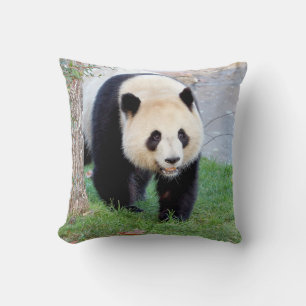 Kissen Foto Riesenpanda 5. werfen Kissen