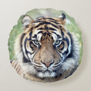 Kissen-Foto-Tigerkatze , Tiere 02 . Rundkissen Rundes Kissen