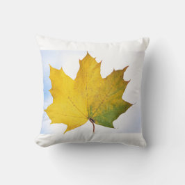 Kissen für jedes Zimmer