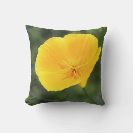 Kissen für Mohn im Freien