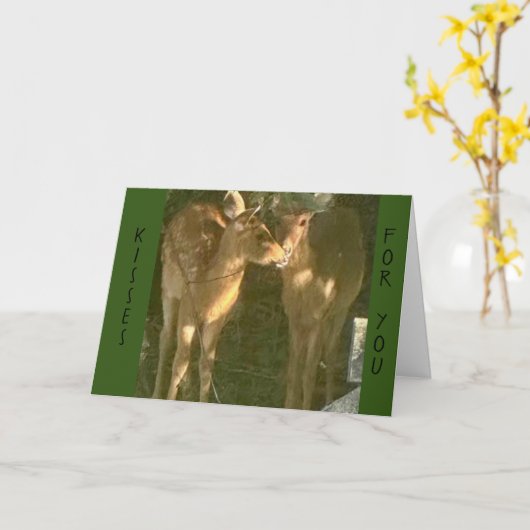 **KISSEN FÜR SIE AM GEBURTSTAG" KARTE (Gelbe Blume)