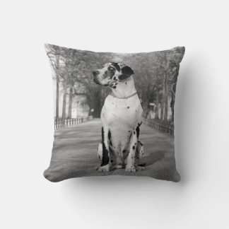 Kissen Great Dane