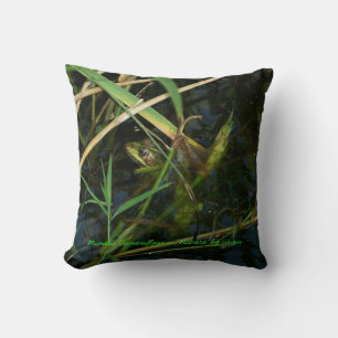 Kissen (grün) mit mimetischem Frosch