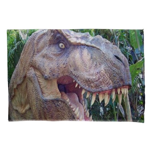 Kissen Hüllen Dinosaurier Kissenbezug (Vorderseite)