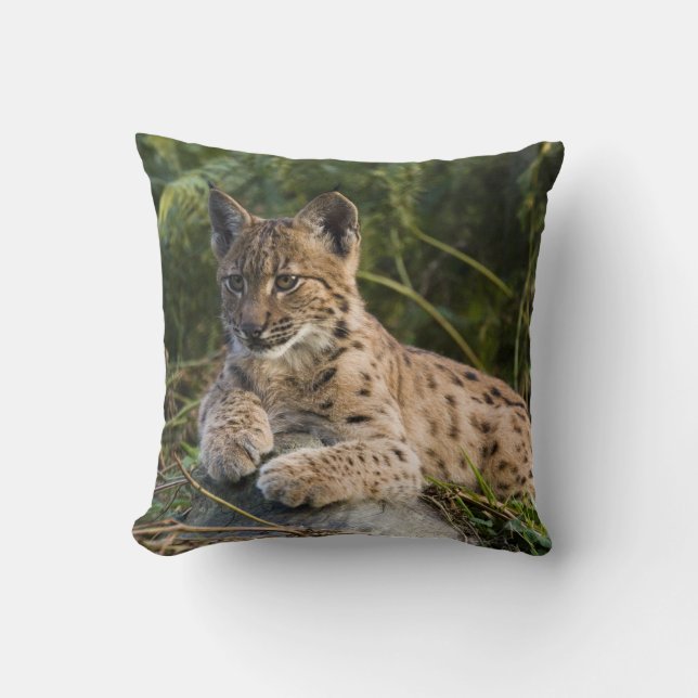 Kissen - Luchs (Vorderseite)