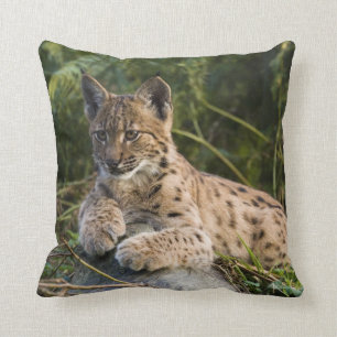 Kissen - Luchs