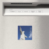 Kissen Magnet (In Situ (Geschirrspüler))