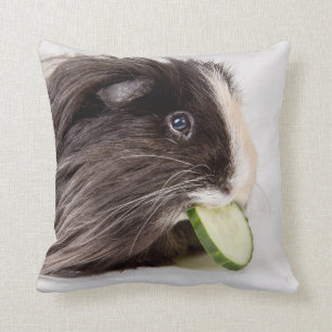 Kissen mit dem niedlichen Meerschweinchen, das