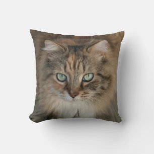 Kissen mit schöner, grüner mit Augen Katze