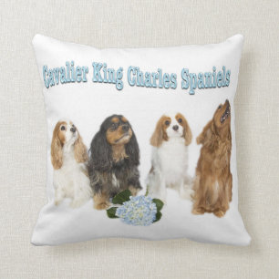 Kissen mit vier Cavalier King Charles Spaniels