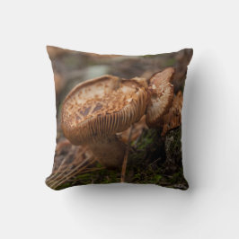Kissen, Pilzphoto Kissen
