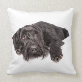 Kissen Riesenschnauzer