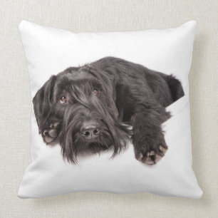 Kissen Riesenschnauzer