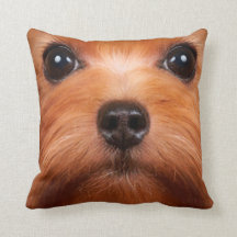 Kissen-Schoßhund 34