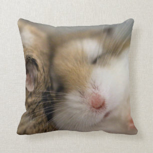 Kissen über Bob verschieben